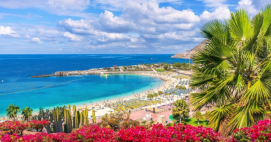 TOURIST ACCOMMODATION IN SPAIN, 2026: COEXISTENCE HOTELS – LEGALIZED APARTMENTS.