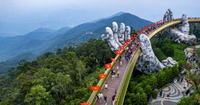 VIETNAM DIARIES